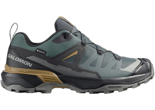 Salomon X Ultra 360 Gore-Tex Urban Chic Black Brilliant Olive