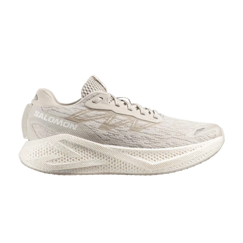 Salomon Aero Glide 4 Silver Cloud