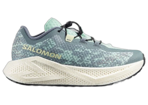 Salomon Aero Glide 4 GRVL Stormy Weather Lichen (Women's)