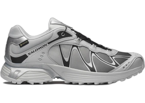 Salomon XT-Whisper Gore-Tex Gray Violet Black Silver