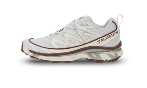 Salomon XT-6 Expanse Ancient Water Bitter Chocolate Silver