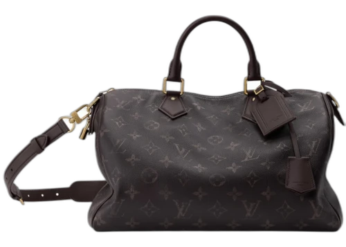 Louis Vuitton Fendi Speedy P9 40 Coffee Bean/Brown