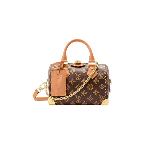 Louis Vuitton Speedy Trunk 20