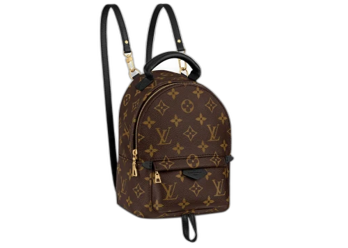 Louis Vuitton Palm Springs Monogram (Updated Zipper) Mini Brown