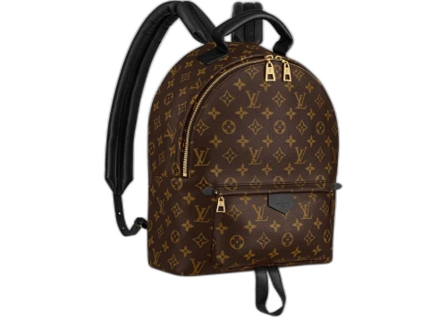 Louis Vuitton Palm Springs Monogram (Updated Zipper) MM