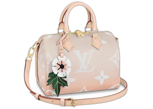 Louis Vuitton Speedy Bandouliere Gradient Pastel 25 Mist Gray