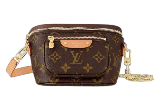 Louis Vuitton Mini Bumbag Monogram
