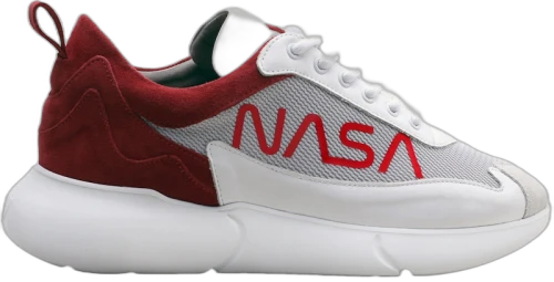 Mercer W3RD NASA Mars
