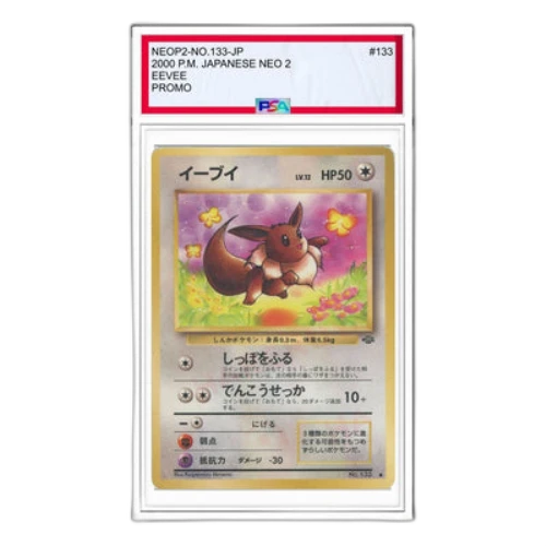 Pokemon Premium File 2 [neoP2 No.133] 'Eevee Premium File 2: Old Back'