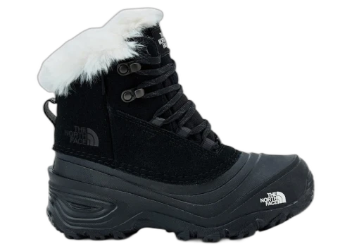 The North Face Shellista V Lace WP Black (GS)