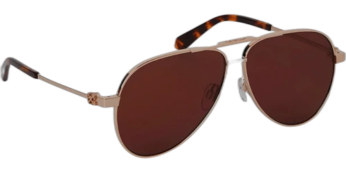 OFF-WHITE Ruston L Sunglasses Gold/Brown/Brown (OERI122S24MET0017664-FR)