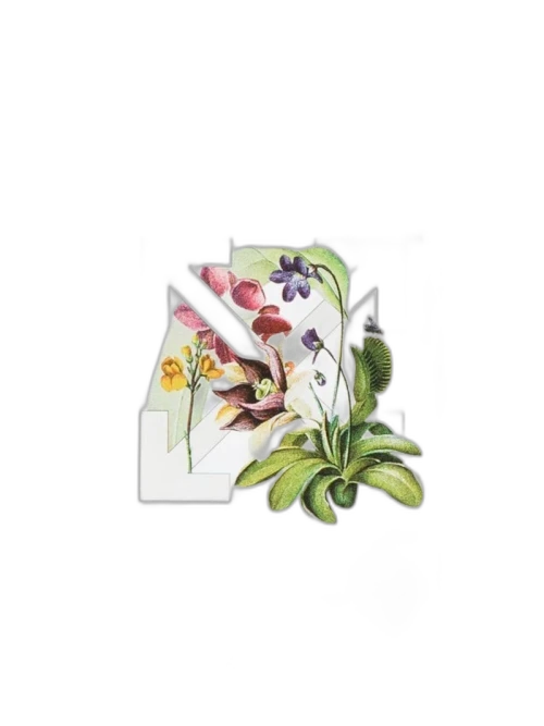 OFF-WHITE Flower Arrows iPhone 11 Pro Case Transparent/White