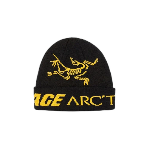 Palace x Arc'teryx Beanie 'Black'