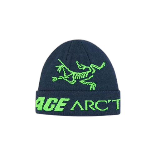 Palace x Arc'Teryx Beanie 'Teal'
