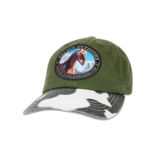 Palace Outdoors 6-Panel 'The Deep Green'
