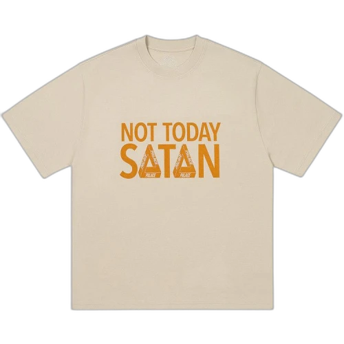 Palace Nicht Today T-Shirt 'Stoney Grey'