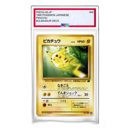 Pokemon Intro Pack [PMCGI 40] 'Pikachu: Old Back'