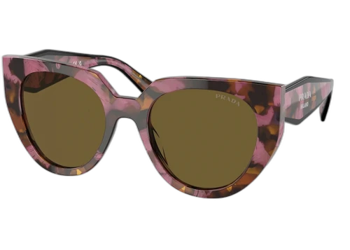 Prada Cat-Eye Sunglasses Brown (PR_14WS_18N01T)