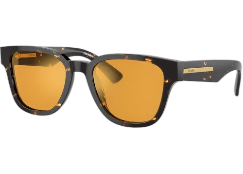 Prada Round Sunglasses Brown (PR_A04S_16O20C)