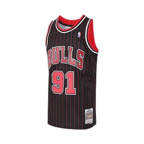 Mitchell & Ness NBA Chicago Bulls 95-96 Dennis Rodman Swingman Jersey 'Black Red'