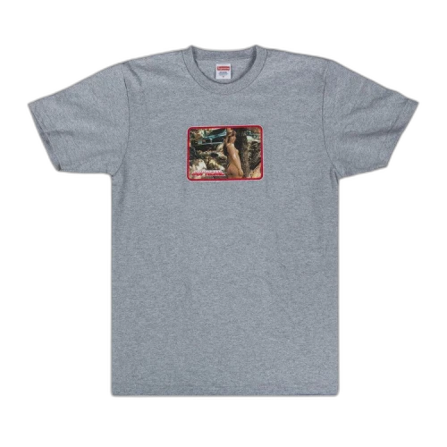 Supreme Girl T-Shirt 'Grey'