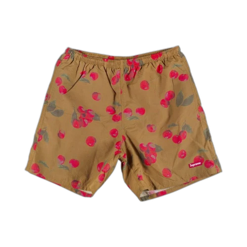 Supreme Nylon Water Short 'Brown'