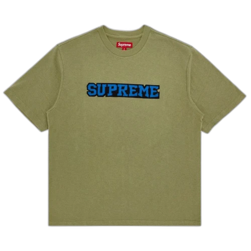Supreme Satin Appliqué Short-Sleeve Top 'Light Olive'