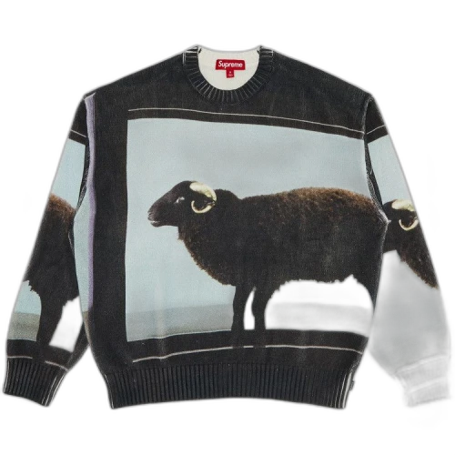 Supreme x Damien Hirst Sweater 'Black'