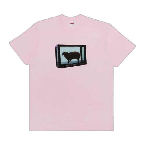 Supreme x Damien Hirst Tee 'Light Pink'