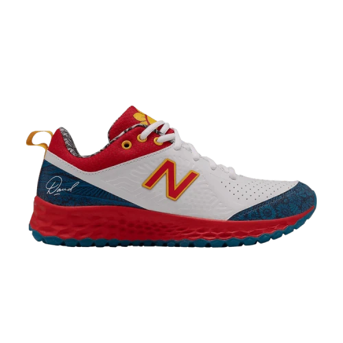 New Balance David Sunflower Seeds x Fresh Foam Velo v2 'White Blue' (Women's)