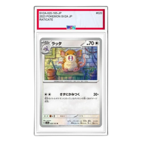 Pokemon Card 151 [SV2a 020/165] 'Raticate U'