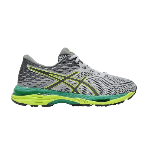 Asics Gel Cumulus 19 'Mid Grey Carbon' (Women's)