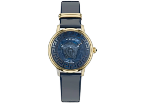 Versace Medusa Alchemy VE6F00223