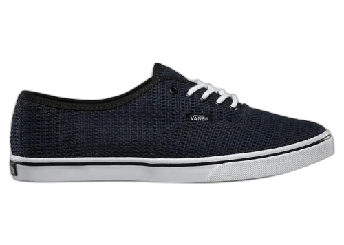 Vans Authentic Lo Pro Mesh Black