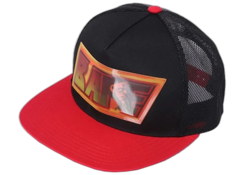BAPE Lenticular Emblem Mesh Cap Black