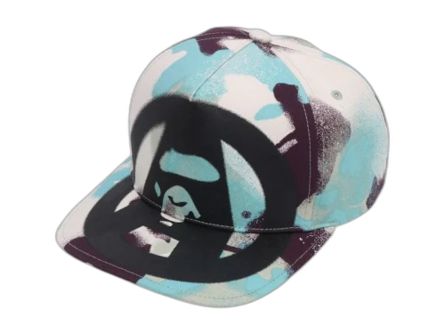 BAPE Map Camo Cap Multicolor