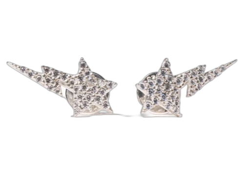 BAPE Sta Earrings Silver