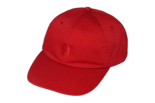 BAPE Tonal Ape Head One Point Panel Cap Red