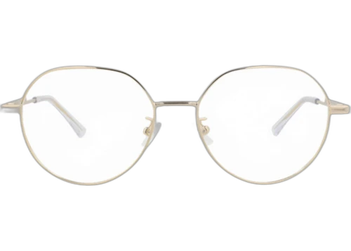 Bottega Veneta Round Frame Metal Optical Frames BV1076OA-30009061-002 Gold Gold Transparent