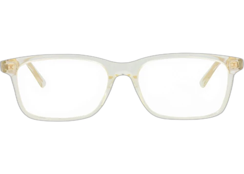 Bottega Veneta Square Frame Acetate Optical Frames BV1029O-30008498-004 Beige Beige Transparent