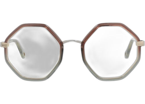 Chloe Round Frame Bio Injection Optical Frames CH0132O-30013653-004 Brown Brown Transparent