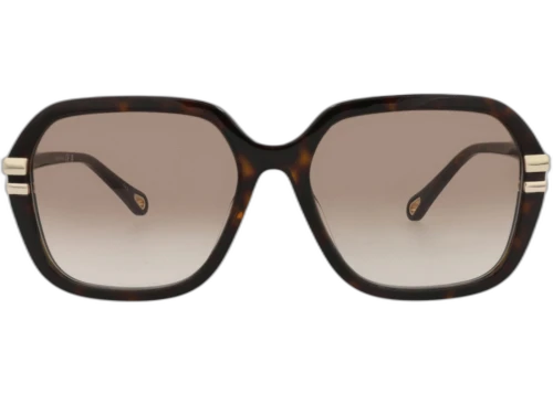 Chloe Round Frame Recycled Acetate Sunglasses CH0204S-30014691-002 Havana Havana Brown