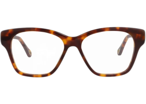 Chloe Square Frame Bio Acetate Optical Frames CH0122O-30013650-002 Havana Havana Transparent