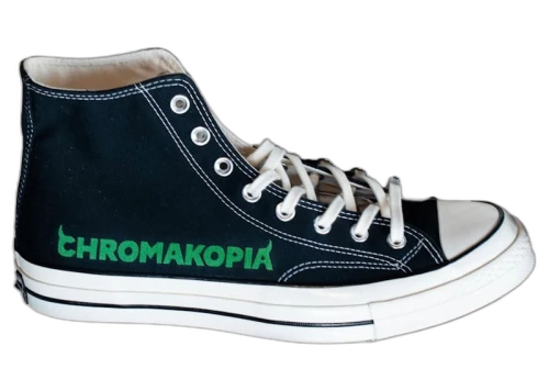 Converse Chuck Taylor All Star 70 Hi Tyler the Creator Chromakopia