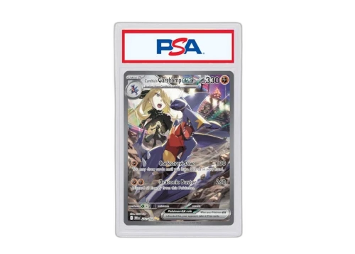 Cynthia's Garchomp ex 2025 Pokémon Scarlet & Violet Destined Rivals Special Illustration Rare #232 (PSA or BGS Graded)