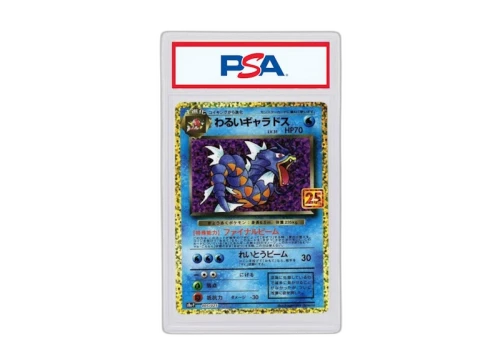 Dark Galados 2021 Pokémon 25th Anniversary Edition Promo Card Pack Promo (Japanese) S8a-P 005/025 (PSA or BGS Graded)
