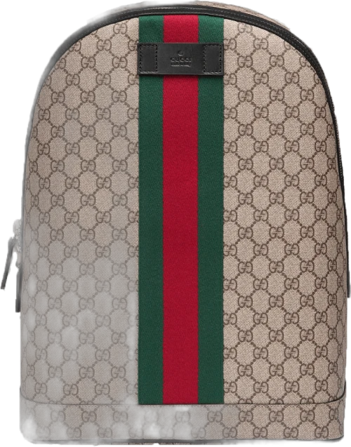 Gucci Backpack Zip Top GG Supreme Web Detail