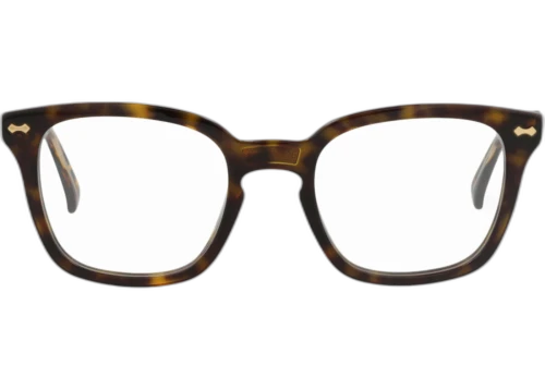 Gucci Square Frame Acetate Optical Frames GG0184O-30001750-002 Havana Havana Transparent