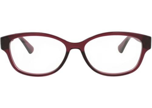 Gucci Square Frame Injection Optical Frames GG0639OA-30008598-004 Burgundy Burgundy Transparent