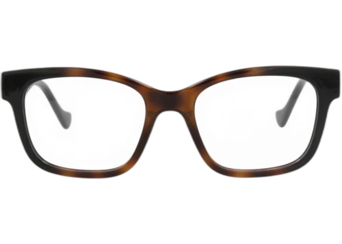Gucci Square Frame Injection Optical Frames GG1025O-30011777-005 Havana Black Transparent